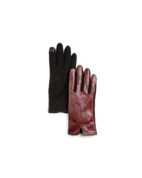 Pink Pony | Purple Lauren Color Stitch Gloves | Lyst