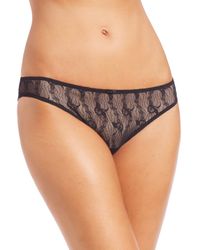 Wolford | Black Lilie Lace Bikini Brief | Lyst