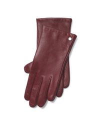 Ralph Lauren | Purple Cashmere-lined Leather Gloves | Lyst