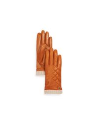 Ugg | Brown Dandylion Quilted Tech Gloves | Lyst