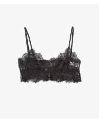 Ganni | Black Lacey Bra | Lyst