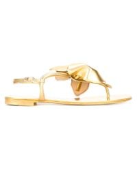 giuseppe zanotti flower sandals