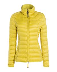 parajumpers BLAZER YELLOW parajumpers BLAZER YELLOW