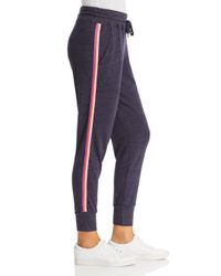 Sundry Blue Rainbow - Striped Tapered Sweatpants