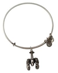 ALEX AND ANI | Silver Lobster Expandable Wire Bracelet | Lyst