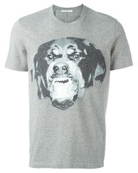 grey rottweiler givenchy rottweiler print t shirt in gray for lyst grey rottweiler givenchy rottweiler print t shirt in gray for lyst