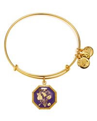 ALEX AND ANI | Gold Seduced By Innocence Violet Expandable Wire Bangle | Lyst
