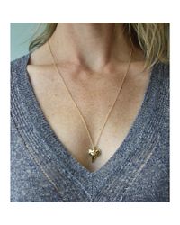 Peyton William Handmade Jewelry | Metallic Shark Tooth 18kt Gold Filled Necklace | Lyst