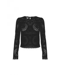 Temperley London | Black Nomi Lace Crop Top | Lyst
