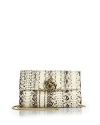 Roberto Cavalli | Natural Watersnake Clutch | Lyst