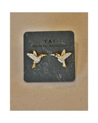 Tai | Metallic Hummingbird Stud | Lyst