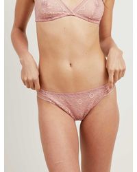 Morgan Lane - Pink Polly Thong In Misty Rose - Lyst