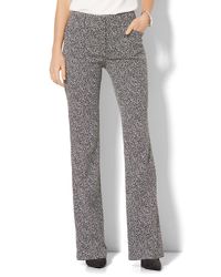 New York & Company 7th Avenue Pant - Bootcut - Modern - Black & White - Petite