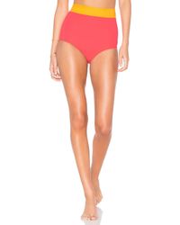 Flagpole Swim Pink Arden Bikini Bottom
