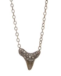 Loree Rodkin - Metallic Shark Tooth Pendant Necklace - Lyst