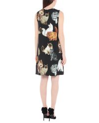 Dolce & Gabbana Black Kurzes Kleid
