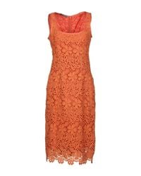 Alberta Ferretti Orange Knee-length Dress