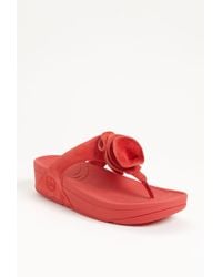 fitflop florent jacques