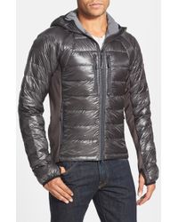 canada goose hybridge lite graphite canada goose hybridge lite graphite