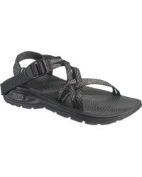 chaco