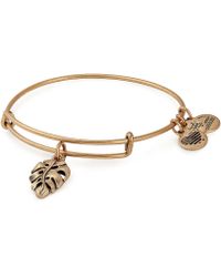 Lyst Alex And Ani Palm Beach Charm Bangle In Metallic Alex And Ani Palm Leaf Bangle Lyst