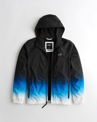 hollister windbreaker blue