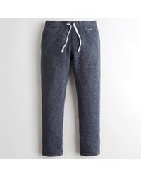 hollister skinny jogger advanced stretch