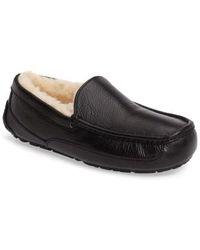 Ugg Ascot Shop Ugg Ascot Shop
