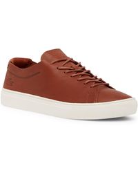 lacoste tan trainers