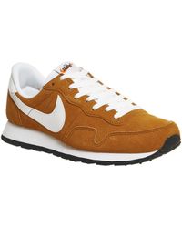 dicks sporting goods nike pegasus