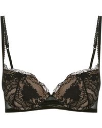 coppe triangolo push up