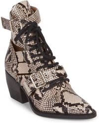 chloe rylee python