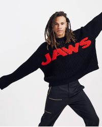 calvin klein jaws sweater
