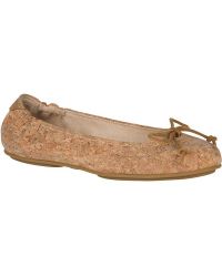 sperry pointed toe flats