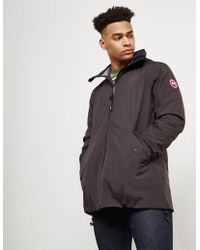 canada goose branta elliston canada goose branta elliston