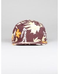 vans broloha cap