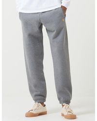 carhartt avondale sweatpants