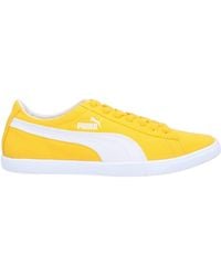 puma cuero