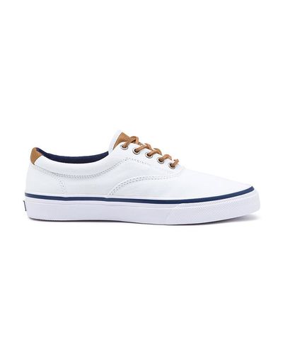 sneaker bass
