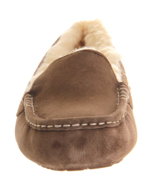 chocolate brown ugg slippers