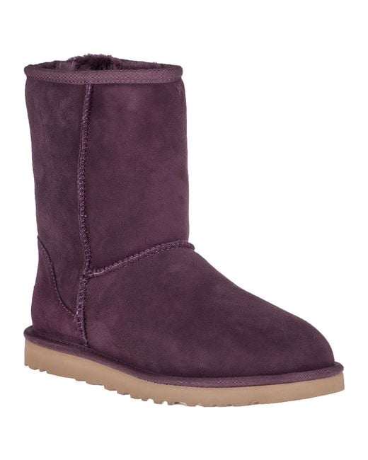 purple ugg gloves purple ugg gloves