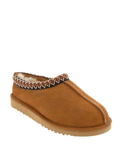 brown tasman uggs brown tasman uggs