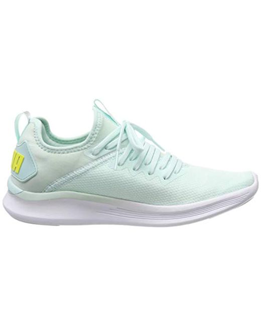 PUMA Ignite Flash Evoknit Sr Wn's Competition Running Shoes PUMA Ignite Flash Evoknit Sr Wn's Competition Running Shoes
