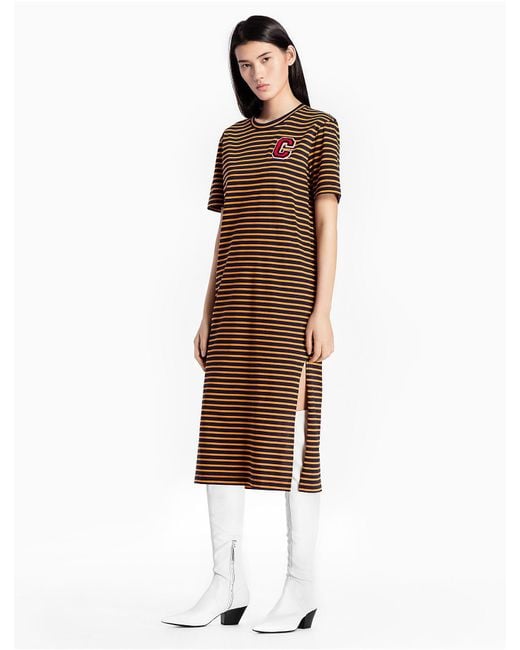 Lyst Calvin Klein Cotton Knit Striped C Badge Dress In Brown Calvin Klein Brown Cotton Knit Striped C Badge Dress Lyst