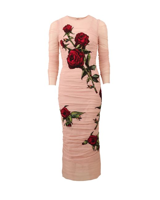 Dolce & gabbana Stretch Tulle Rose Dress in Pink (BLUSH) | Lyst