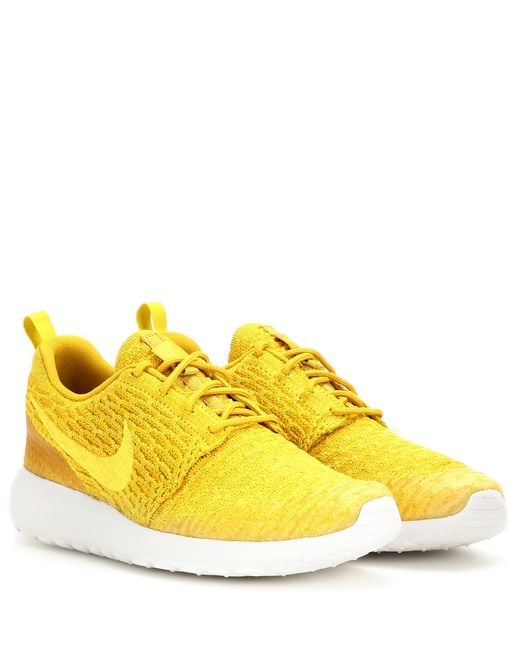 dunks nike