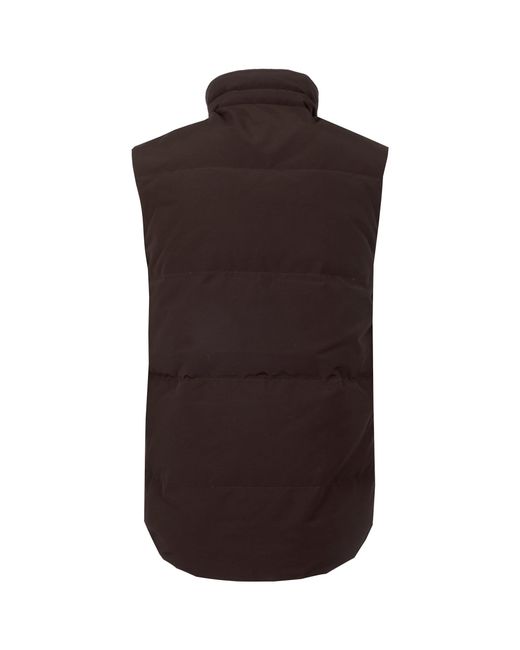 canada goose brown canada goose brown