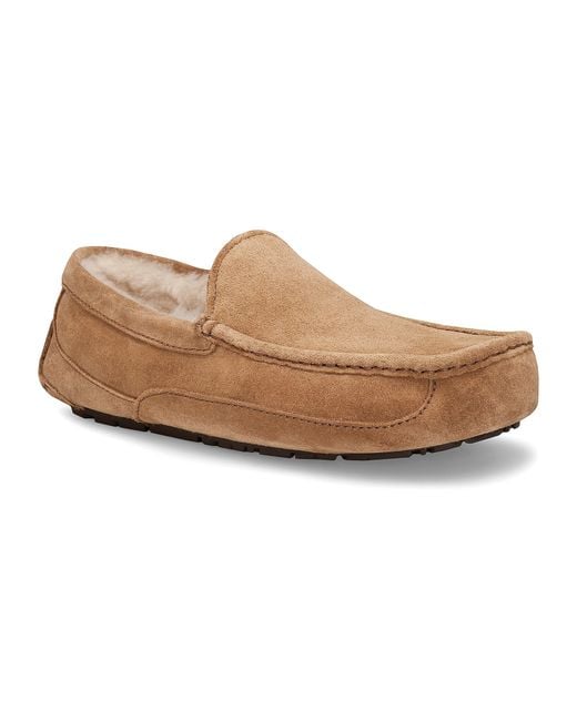 uggs chestnut 37 uggs chestnut 37