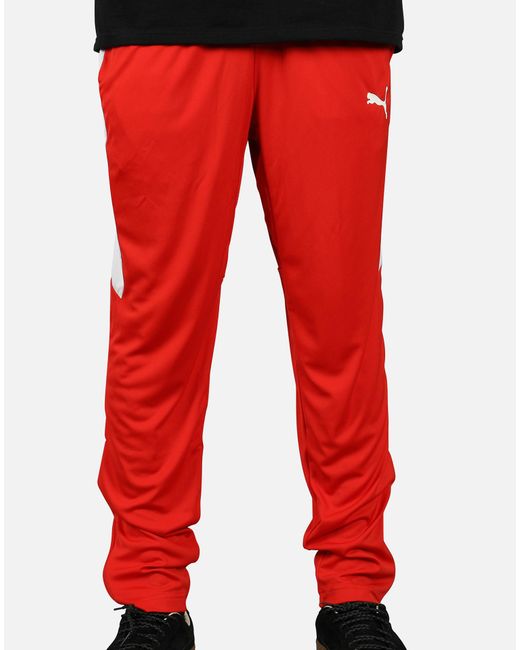 puma speed pants