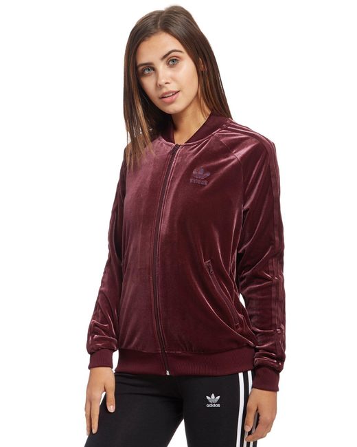 adidas originals firebird velvet track top adidas originals firebird velvet track top